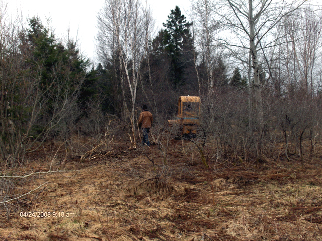 clearing brush for roads